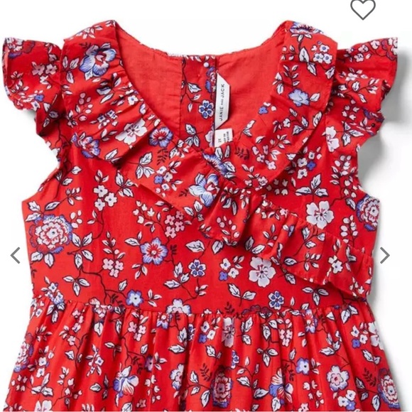 Janie and Jack Floral Ruffle Trim Dress - Picture 2 of 13